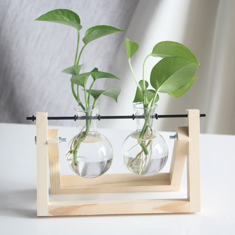 Creative hydroponic plants transparent wooden vase desktop small fresh container living room modern decoration ornaments Elysian Vibe