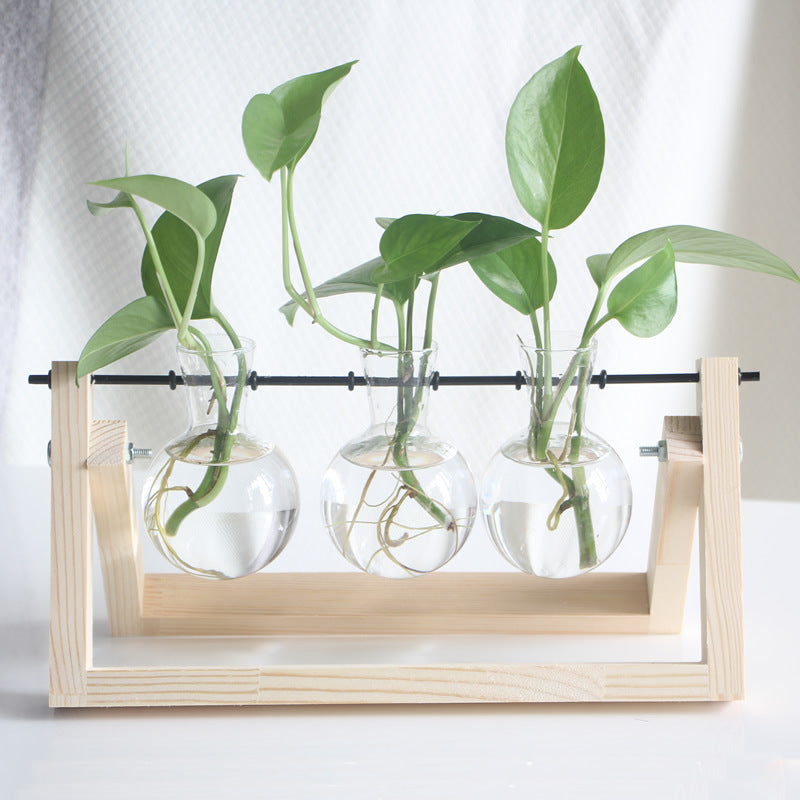 Creative hydroponic plants transparent wooden vase desktop small fresh container living room modern decoration ornaments Elysian Vibe