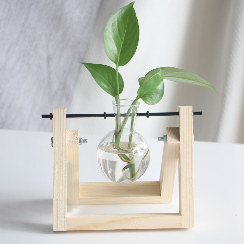 Creative hydroponic plants transparent wooden vase desktop small fresh container living room modern decoration ornaments Elysian Vibe