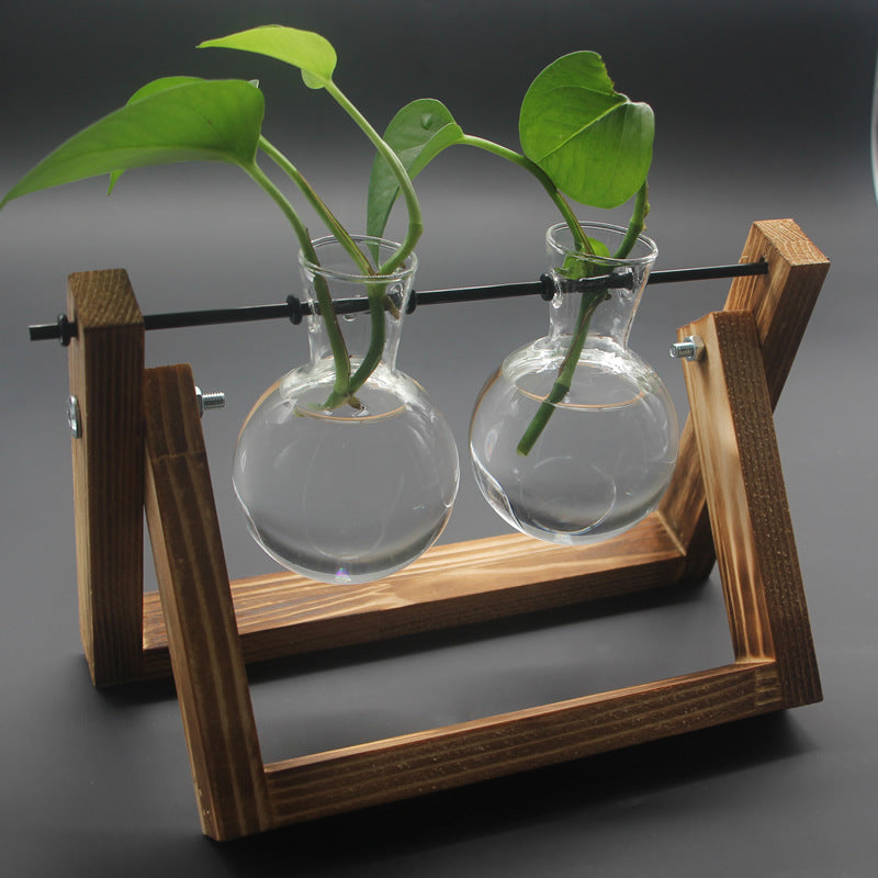 Creative hydroponic plants transparent wooden vase desktop small fresh container living room modern decoration ornaments Elysian Vibe